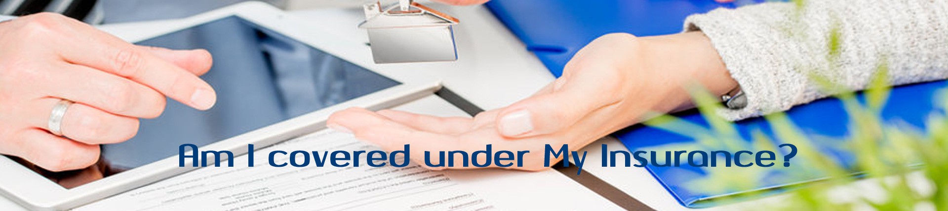 In most cases, homeowners insurance policies do not cover mold damage