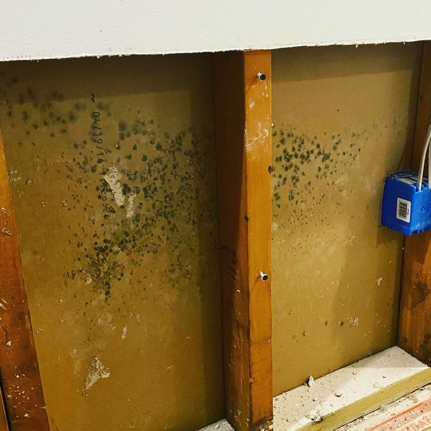Mold Remediation/Restoration in New Jersey
